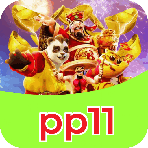 Performance pp11